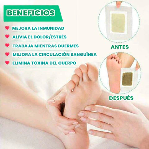 Parches Kinokis - Alivia Dolores y Desintoxica (30 pares)